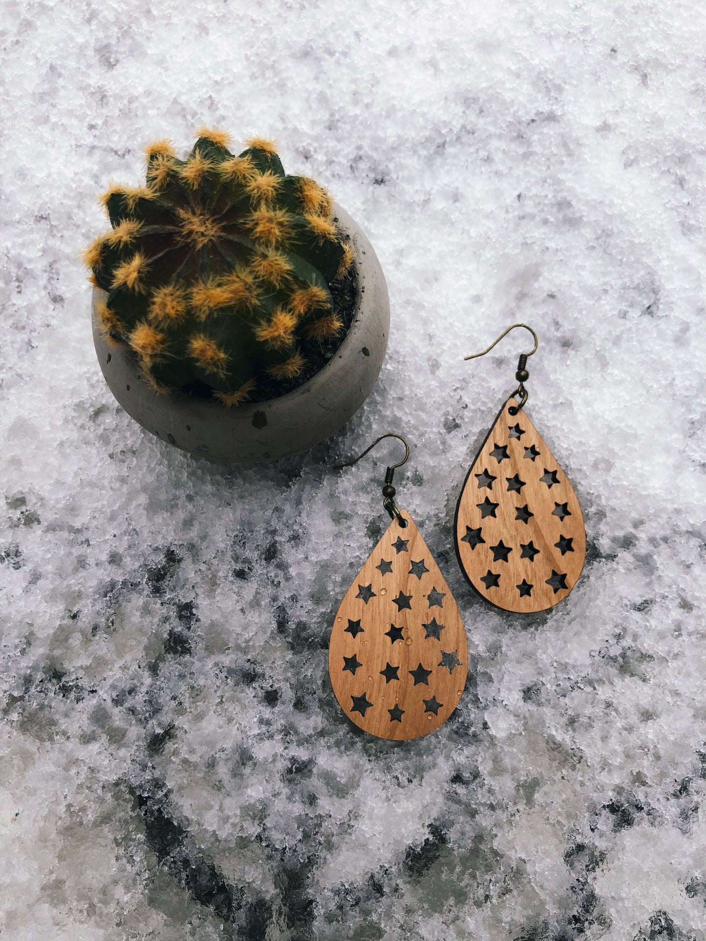 Shining Star Earrings