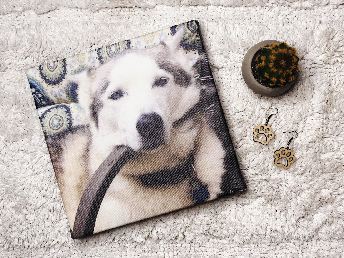 Fur Baby Paw Earrings